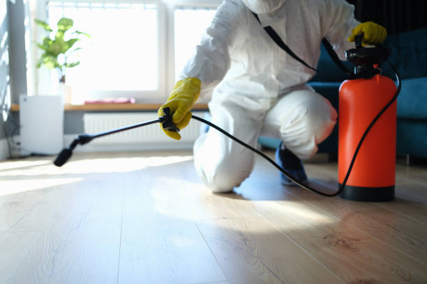 Reliable Odor Removal contractor in Gordonsville, VA by Trauma Clean Pros